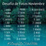 Desafío de Fotos de Noviembre