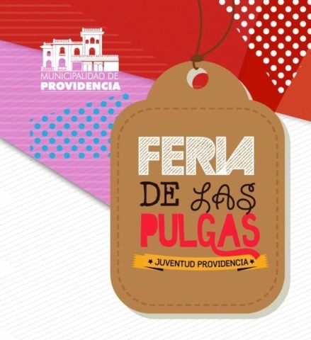 feria de las pulgas _result