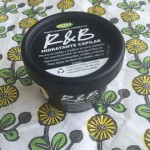 Review: Hidratante Capilar R&B de Lush